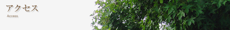 アクセス