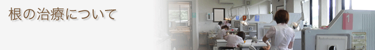 根の治療について