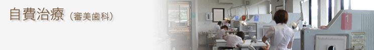 審美歯科（自費治療）