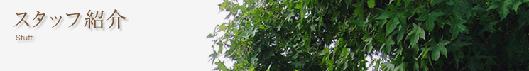スタッフ紹介